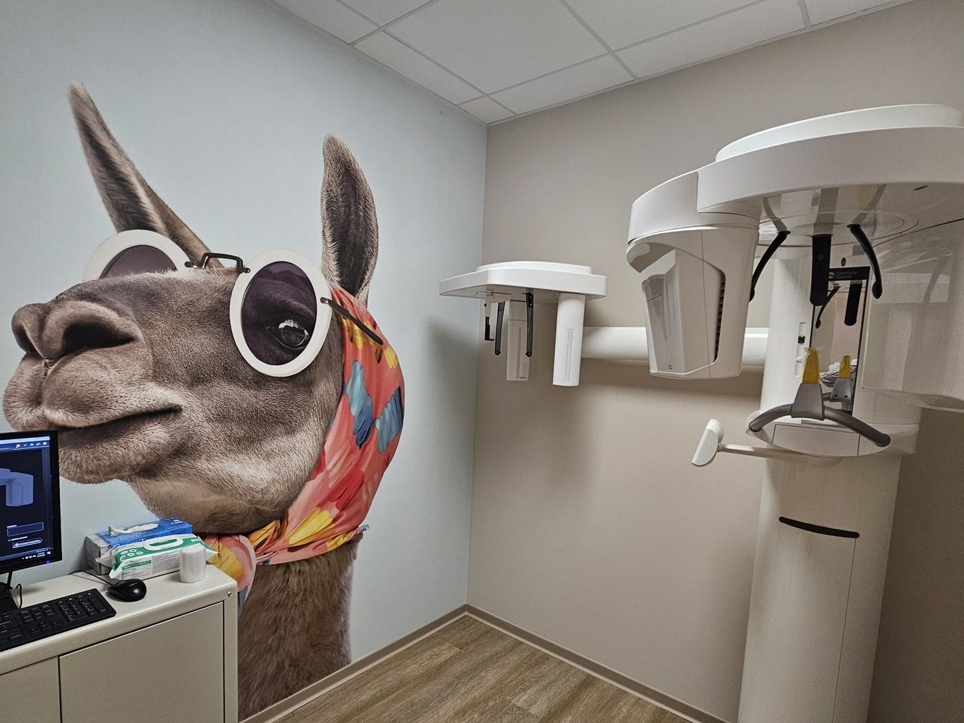 Salle de radiographie panoramique 3D et céphalométrique, décor lama — Cabinet Dentaire du Pays d'Aubagne, Roquevaire